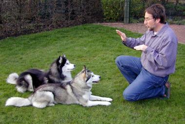 Referent Klein sagt es seinen beiden Huskies. <br>Foto: LWL</br>
