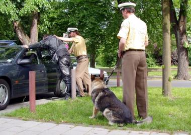Ein echter Polizeihund im Einsatz.<br>Foto: Bezirksregierung</br>