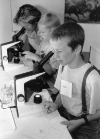 Was krabbelt in diesem Wassertropfen? <br>Foto: LWL/Rullert</br>
