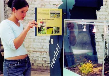 Mit einer Duftorgel, einer Pflanzkiste und Schattenrissen von Pflanzen vermittelt diese Station Eindrücke der Pflanzenwelt auf der Industriebranche. <br>Foto: LWL</br>