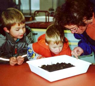 Die Teilnehmer der Ökowerkstatt untersuchen Erdproben, die sie im LWL-Museum gesammelt haben.  <br>Foto: LWL<br>