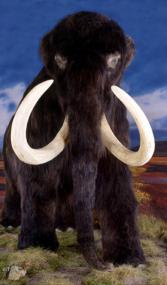 Das Modell des Mammuts begrüßt am Eingang zur neuen Ausstellung 'Westfalen im Wandel'.<br>Foto: LWL</br>