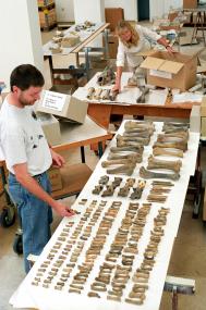 Hunderte Bärenknochen verpacken die Archäologen nach ihrer wissenschaftlichen Untersuchung für den Transport nach Herne ins neue LWL-Archäologiemuseum. <br>Foto: LWL/Egbert</br>