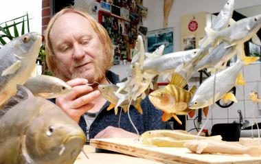 LWL-Chefpräparator Werner Beckmann in einem Schwarm von Süßwasser-Fischen, die in der Ems-Ausstellung des Naturkundemuseums zu sehen sein werden.<br>Foto: LWL</br>