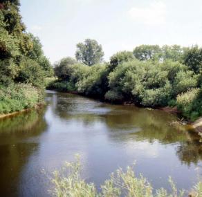 Die Ems, hier bei Münster-Handorf, ist Thema der neuen Vortragsreihe.<br>Foto: LWL/Egbert</br>
