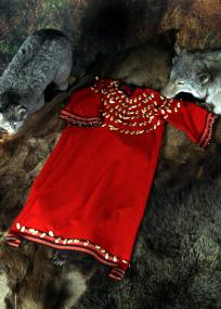Dieses farbenprächtige Frauenkleid, hier von Wolf und Luchs "bewacht" diente nur als Festtagstracht und wurde ansonsten in Rohhautbehältern aufbewahrt.<br>Foto: Jülich</br>