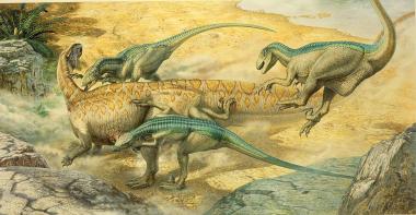 Ein Rudel Raptoren greift einen Saurier an. <br>Illustration: John Sibbick, Copyright</br>