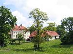 Die ¿Gartenkünste¿ machen am Sonntag Station am Haus Dieck in Enningerloh-Westkirchen.  <br>Foto: GWK</br>