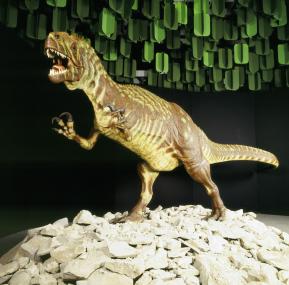 Ein Allosaurus konnte bis zu 14 Metern lang werden.<br>Foto: LWL</br>