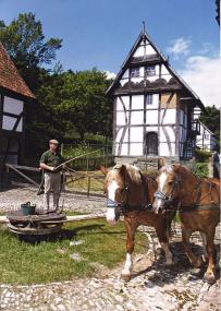 Göpel mit Kaltblutgespann und Heinz-Peter Conredel  im Einsatz. <br>Foto: LWl/Jähne</br>