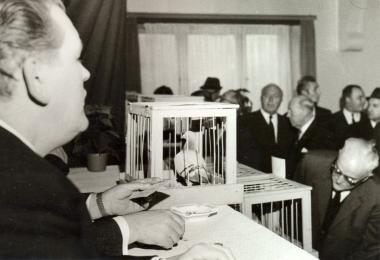 Wie auf dieser historischen Aufnahme wechseln am Wochenende 25 Tauben im LWL-Industriemuseum den Besitzer. <br>Repro: LWL</br>