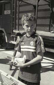 Der zwölfjährige Marvin Fray beim Einsetzen seiner Taube vor dem Wettflug. <br>Foto: LWL/Hudemann</br>