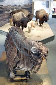 Die Bison-Skulptur eines indianischen Künstlers vor einer Szene mit den Lebensechten Modellen der Tiere.<br>Foto: LWL/Egbert</br>