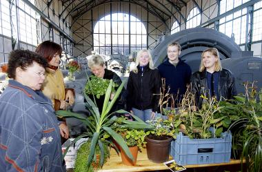 Grünzeug zwischen Maschinengrau: in der Maschinen von Zollern ist am Samstag Gartenkungelmarkt. <b>Foto: LWL</br>