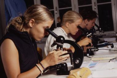 Mikroskopieren mitten in der Langen Nacht im Westfälischen Museum für Naturkunde.<br>Foto: LWL</br>