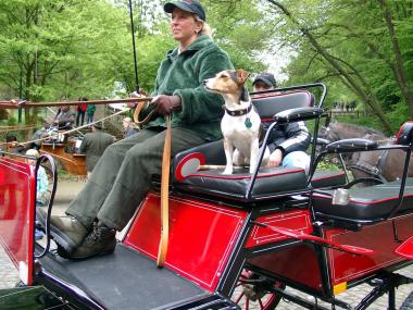 Beim Kutschentag sind viele Fahrzeuge mit ein oder zwei PS im LWL-Museum unterwegs.  <br>Foto: LWL </br>