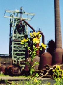 Auf der Henrichshütte geht es in den Herbstferien um das Thema Energie. Foto: LWL