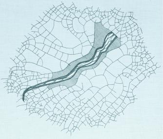 Klöppelkunstwerk von Ulrike Voelcker aus den Jahren 1988/99, 29 x 25 cm.
