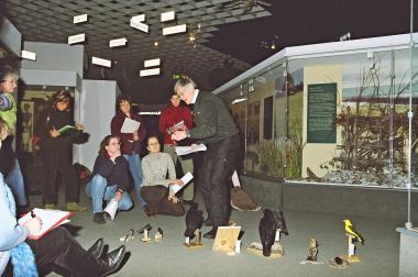 Eine ¿tierische Reihe¿ im LWL-Naturkundemuseum: vom Wippstiärtken (der Bachstelze) bis zum Wiegelwagel (Pirol). <br>Foto:LWL/Windau<br />