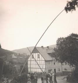 Dieser recht schlichte Maibaum wurde 1951 in Bad Laasphe-Feudingen mit Muskelkraft aufgestellt. <br>Repro: LWL<br />