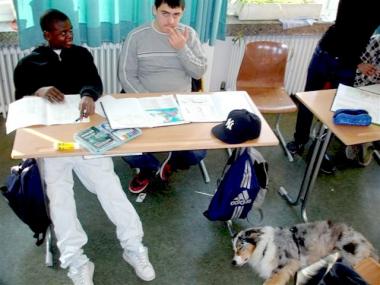 Australian Shepherds als Schulhunde, wie hier in einer Ganztagshauptschule in München, verbessern die Stimmung in den Klassen.  <br>Foto: Privat<br />