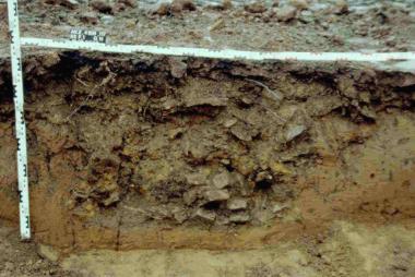 Die Mauer der Vorburg war meistens nur noch durch eine Fundamentstickung im Boden kenntlich. <br>Foto: LWL/Baales.<br />