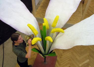 Museumspräparatorin Ulrike Jäger hat die Blüte eines Wiesenschaumkrautes auf 2,5 Meter ¿wachsen¿ lassen. <br>Foto: Witte<br />