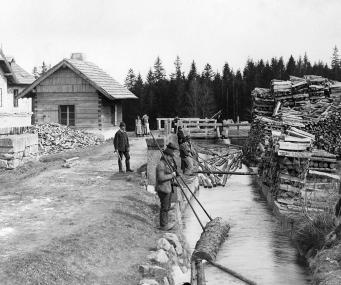 Das Foto aus dem Jahre 1899 zeigt die Langholzschwemme des Schwarzenbergischen Schwemmkanals. Repro: Fritz Lange