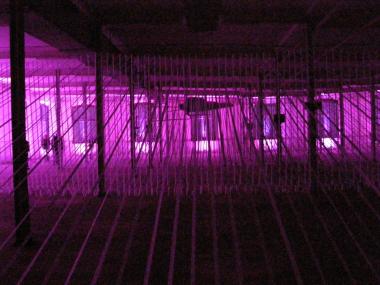 Gabriela Nasfeter, Installation ¿Webräume¿. <br>Foto: Helmut Bauhüs<br />
