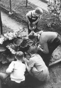 Ostereier, die hier in Bochum-Wattenscheid noch gesucht werden, kamen früher bei verschiedenen Spielen zum Einsatz. <br>Foto: LWL<br />