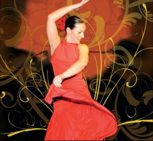 Romancero Gitano - temperamentvoller Tanz und Gesang erwartet die Besucher der spanischen Nacht auf der Zeche Hannover. <br>Foto: Helmut Sanftenschneider<br />