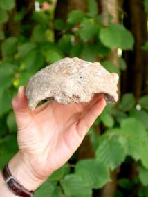 Ein interessanter Neufund aus der Seseke: das von einem ehrenamtlichen Mitarbeiter der LWL-Archäologie für Westfalen entdeckte menschliche Schädeldach. <br>Foto: LWL/Baales<br />