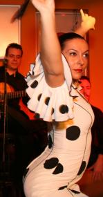 Flamanco live erwartet die Besucher bei der spanischen Nacht auf der Zeche Hannover.             Foto: LWL
