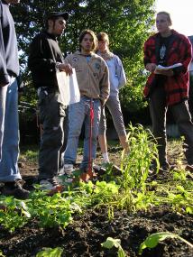 Besucher beim Rundgang durch den Arbeitergarten der Zeche Hannover.<br>Foto: LWL<br />