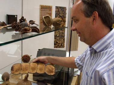 Letzte öffentliche Führung durch die Pflanzenwelten-Ausstellung im LWL-Museum für Naturkunde.<br>Foto: LWL/Fialla<br />