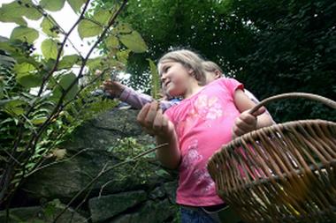 Früchte und Samen nehmen die Teilnehmer der Zechen-Safaris im Oktober unter die Lupe.<br>Foto: LWL/W. Fischer<br /> 