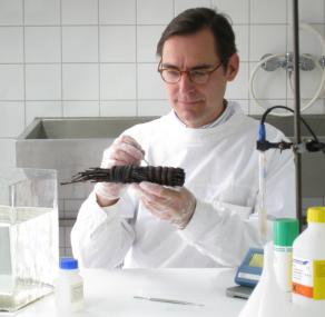 Der Restaurator Sebastian Pechtold bereitet den Besen für die Unterwasser-Präsentation im Museum vor.<br>Foto: LWL-Archäologie für Westfalen<br />