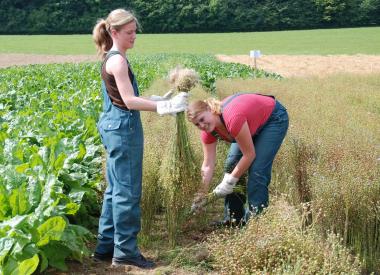 Im Freiwilligen Ökologischen Jahr sollen die Teilnehmer unter anderem ein starkes Umweltbewusstsein entwickeln. <br>Foto: LWL<br />