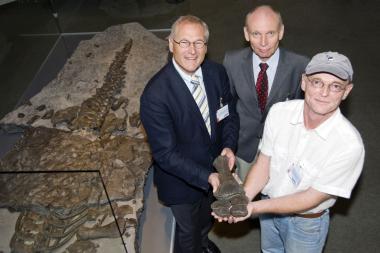 LWL-Direktor Dr. Wolfgang Kirsch (l.) präsentiert gemeinsam mit Museumsleiter Dr. Alfred Hendricks (m.) und Präparator Manfred Schlösser die Hinterbeine des Schwimmsauriers. <br>Foto: LWL/Oblonczyk<br />