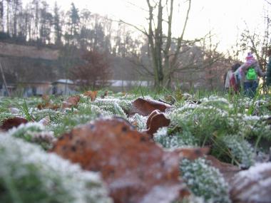 Auf dem winterlichen Museumsgelände sammeln die Teilnehmer Bastelmaterial. <br>Foto: LWL<br />