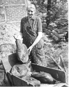 Zu Ostern wurde in vielen Haushalten einer der geräucherten Schinken angeschnitten, wie hier 1958 in Münster-Nienberge.<br>Foto: Risse<br />