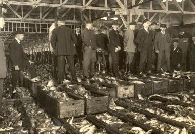 Überall Fische ¿ einen Einblick in das Fischereimuseum Cuxhaven bietet der Vortrag im LWL-Industriemuseum Schiffshebewerk Henrichenburg. <br>Foto: Stadt Cuxhaven<br />