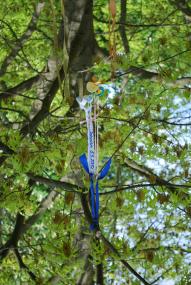 Der Schnullerbaum soll Kleinkindern helfen, sich vom Nucki zu trennen und so zum Kind zu werden. <br>Foto: LWL/Ohlinger<br />
