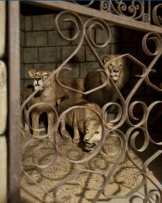 Präparator Michael Böckmann wagte sich in die Grube der Löwen und baute diese für die Sonderausstellung ¿Tiere der Bibel¿ auf. <br>Foto: LWL/Oblonczyk<br />