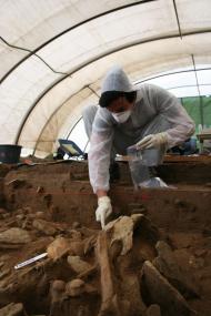 Erwitte-Schmerlecke. Eine Paläoanthropologin sichert Knochen im Großsteingrab für eine DNA-Untersuchung.<br>Foto: LWL/Rind.<br />