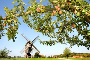 Vom Apfel zum Saft: Im LWL-Freilichtmuseum Detmold ist am kommenden Sonntag das Saftmobil zu Gast.<br> Foto: LWL/Jähne<br />