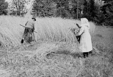 Leicht verderbliches Obst und Gemüse erforderte beim Einkochen eine große Sorgfalt, um es für einen längeren Zeitraum haltbar zu machen.      <br>     Foto: LWL<br />