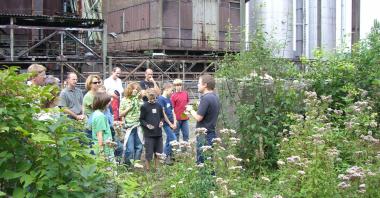 BU:Museumsbesucher suchen auf dem Hüttengelände nach im-portierten Pflanzen.<br> Foto:LWL<br />