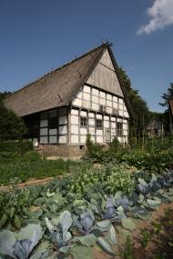 Reifes Gemüse steht am Donnerstag, 14. Oktober, im Mittelpunkt beim Erntetag im LWL-Freilichtmuseum Detmold.<br> Foto: LWL/Jähne<br />