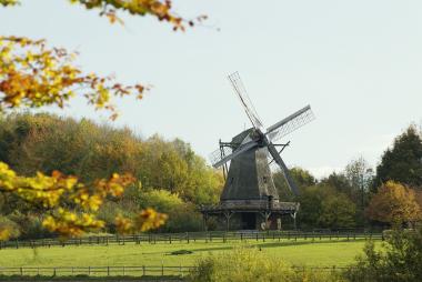 Noch einmal die Herbststimmung genießen können Besucher am kommenden Wochenende im LWL-Freilichtmuseum Detmold. <br>Foto: LWL<br />
